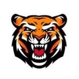 Sath Sponsors Robotics Group - Techno Tigers