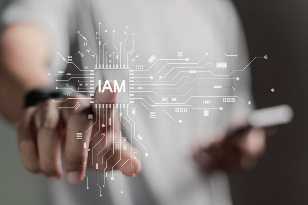 Why Every Organization Needs Identity and Access Management (IAM)